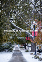 Monday morning after an overnight snow on city campus. October 26, 2020. 