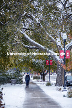 Monday morning after an overnight snow on city campus. October 26, 2020. 