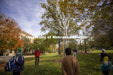 Students in class outside by the sculpture, Breach by Roxy Paine. City Campus. October 28, 2020. 
