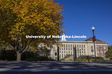 South view of the Love Library on City Campus. November 2, 2020. 