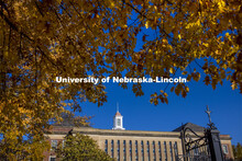 South view of the Love Library on City Campus. November 3, 2020. 