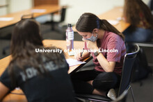 Students in Loukia Sarroub’s TEAC 438/838 Linguistics in Learning and Language Contexts class work
