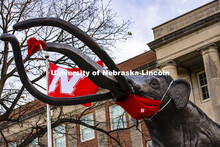 Archie the Mammoth in front of the Nebraska State Museum in Morrell Hall. November 18, 2020.  