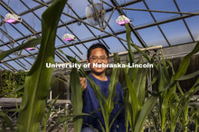 Nebraska’s Jinliang Yang, assistant professor of agronomy and horticulture, and Gen Xu (picutred),