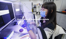 Jing Shao, graduate student in food science and technology, cultures gut bacteria in an oxygen-free 