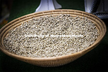 Around the World with Coffee course taught by Yalem Teshame, professor of practice in the College of