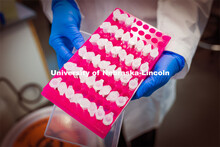 A tray of samples collected at one of the COVID test sites on the three campuses are brought to the 