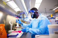 Edwin Owusu transfers saliva samples to other tubes where the saliva will be treated which kills any