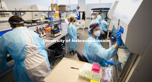 Rebecca Wehling and others work in the pipetting lab at the Veterinary Diagnostic Center. The lab wa