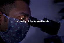 Jaideep Sahni, graduate student in biomedical engineering, peers through the microscope in Ryan Pedr