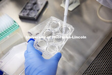 Grad students working in the Ryan Pedrigi biosystems engineering lab in Scott Engineering Center. Fe
