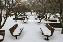 The benches and picnic tables in the green space between the Lied and the Sheldon Sculpture Gardens 