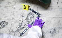 An evidence marker and a ruler is placed next to a footprint being collected as evidence. Forensic S