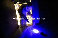 Symone Arends, a senior from Lincoln, shines an ultraviolet light onto the floor. The light will mak