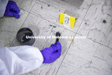 An area is dusted for prints. Forensic Science 485 is the capstone for the seniors. The CSI option s