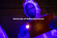 Symone Arends, a senior from Lincoln, shines an ultraviolet light onto the floor. The light will mak