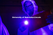 Symone Arends, a senior from Lincoln, shines an ultraviolet light onto the floor. The light will mak