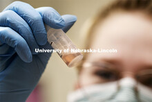Tristan Kleinschrodt looks at a sample being tested to see if it is human blood. Forensic Science 48