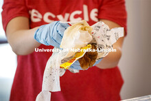Leftovers go into the organic waste bag. Environmental Studies Orientation students work on a waste 