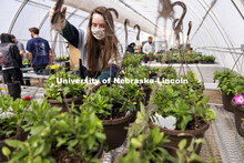 Taylor Cammack moves a finished hanging basket onto the rack so they can be watered during a club wo