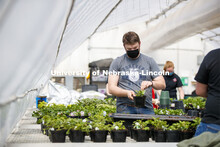 Garrett Kuss adds a tag to a repotted plant. Members of the horticulture club prepare plants in the 