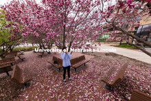 Adison Pace takes photos of the Saucer Magnolia blooms outside of the Lied Center. Spring on City Ca
