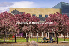 Three young women enjoy lunch at a picnic table under the flowering spring trees at the City Union P