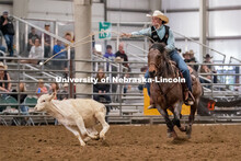 Nebraska’s Grant Lindsley competes in the tie down roping event at the Nebraska Cornhusker College