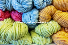 Skeins of yard are stacked neatly on shelves at The Knit Paper Scissors in Lincoln, Nebraska. Nebras