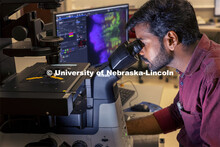 The Morrison Microscopy Core Research Facility in Beadle Hall. Nebraska Center for Biotechnology. Ju
