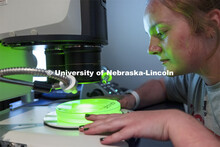 The Morrison Microscopy Core Research Facility in Beadle Hall. Nebraska Center for Biotechnology. Ju