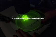 The Morrison Microscopy Core Research Facility in Beadle Hall. Nebraska Center for Biotechnology. Ju