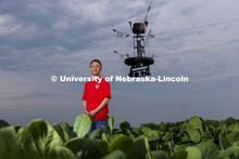 Yufeng Ge, Associate Professor of Biological Systems Engineering, is advancing high-tech plant pheno