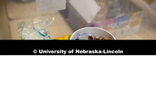Craft supplies. Cedar Point Biological Station near Ogallala, Nebraska. July 19, 2021. 