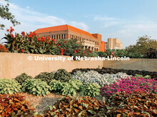 The Temple Building on City Campus. July 21, 2021. 