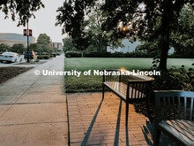 The sun shines through the trees on a park bench on the south side of City Campus. July 21, 2021. 