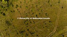 Biological/botanical study plots with invasive Red Cedar trees dot the top of the hill at Reller Pra