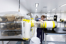 Jordan Harrison, gnotobiotic technician, works with a mouse isolette in the Nebraska Gnotobiotic Mou