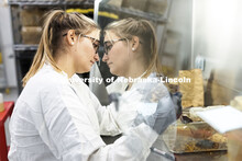 Morgan Cade, graduate student, works under a hood while working with individual mouse cages. Nebrask