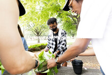 Naomi Mark of Stockton, California, takes a cutting from a pathos plant. The Integrated Science, App