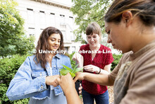 Courtney and Nathaly Hanson propagate a pathos plant with the help of CASNR academic advisor Molly B