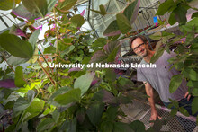 Marc Libault, Associate Professor of Agronomy and Horticulture, is researching soybeans with the hop