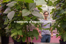 Marc Libault, Associate Professor of Agronomy and Horticulture, is researching soybeans with the hop