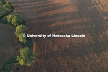 Corn and soybean fields in the final stages before harvest create a patchwork of colors at sunset bi