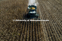 Corn is harvested southeast of Lincoln Monday morning. September 27, 2021. 