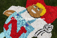 The Herbie Husker yard display is all pomped out and ready for Homecoming. Homecoming decorating. Se