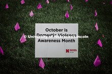 Hundreds of purple flags dot the mall on East Campus to call attention to Domestic Violence Awarenes