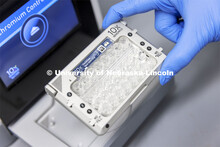 Lab manager Sandra Thibivilliers works with a sample for the 10X Genomics chromium controller. The C