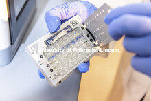 Lab manager Sandra Thibivilliers works with a sample for the 10X Genomics chromium controller. The C