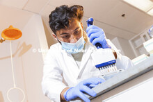 Abdullah Al Mukhaini, junior in forensic science, pipettes a sample in Marc Libault’s lab in Beadl